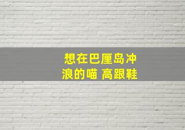 想在巴厘岛冲浪的喵 高跟鞋